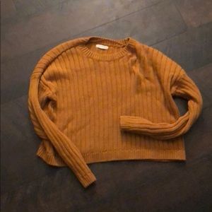 Pacsun Cropped Sweater